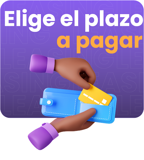 Elige el plazo a pagar