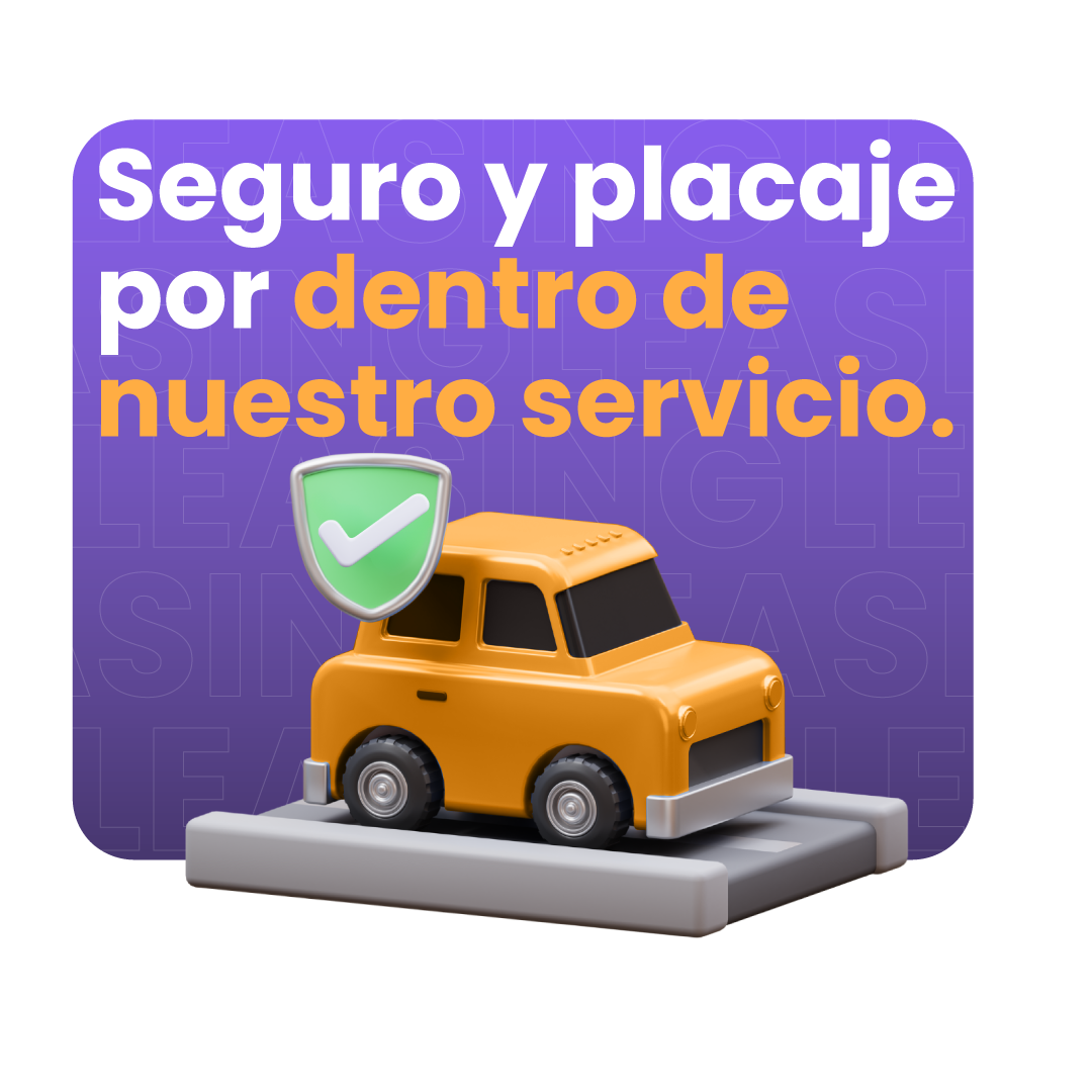 Seguro y placaje